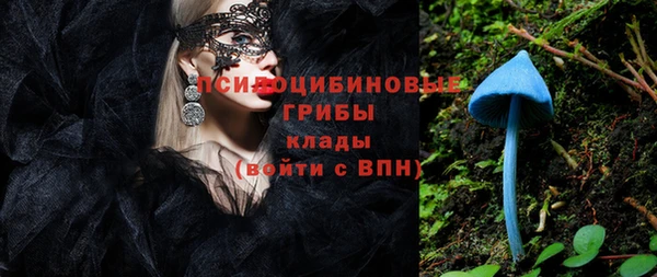 трава Гвардейск