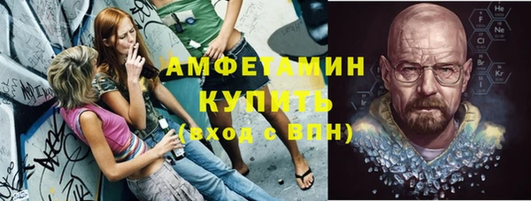 трава Гвардейск