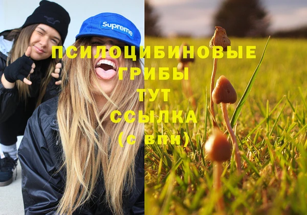 ALPHA-PVP Гатчина