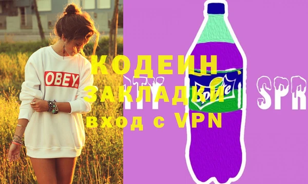 ECSTASY Пересвет