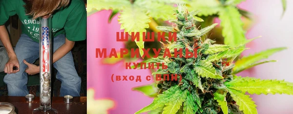 трава Гвардейск