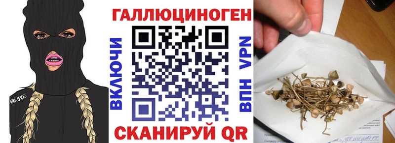 Галлюциногенные грибы мицелий  Сортавала 